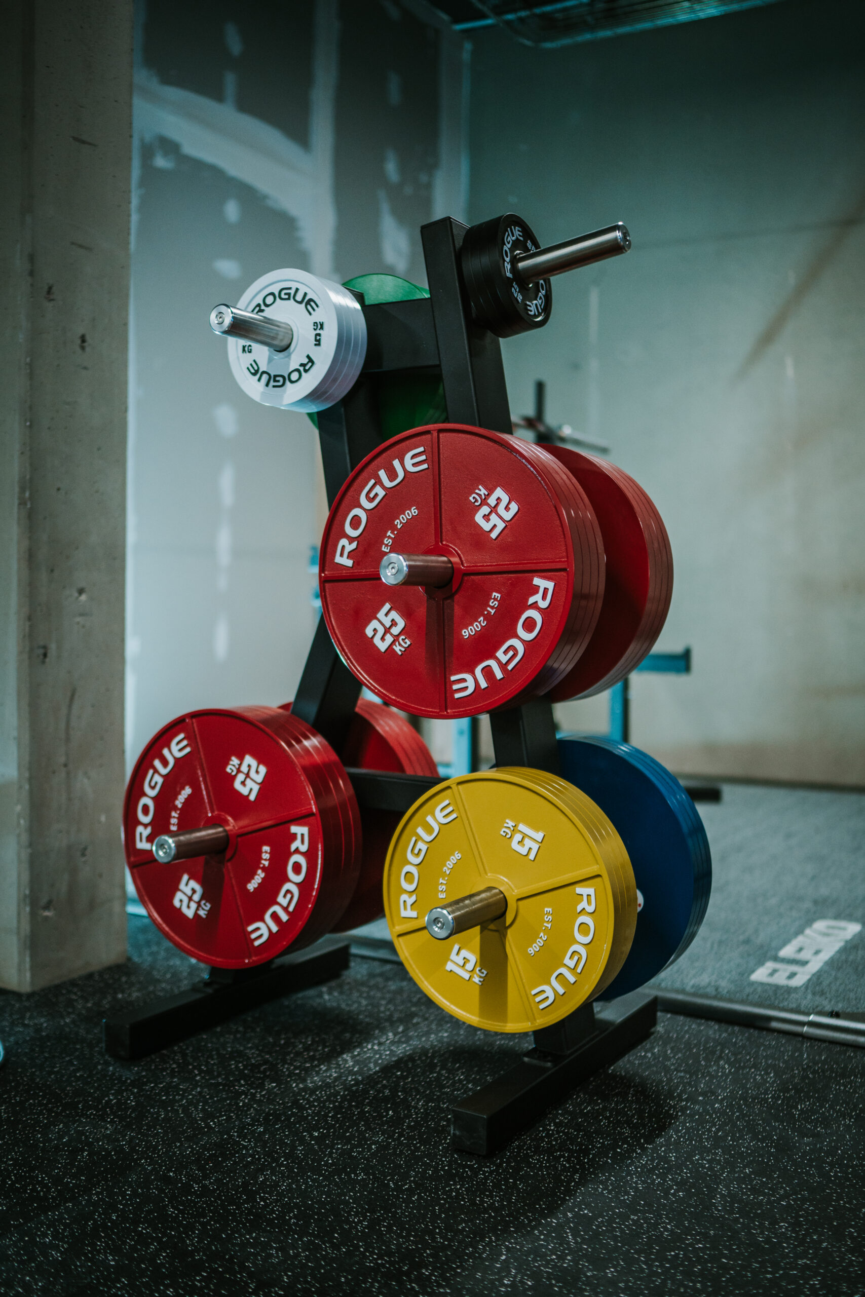 Valhalla Powerlifting Gym Interior